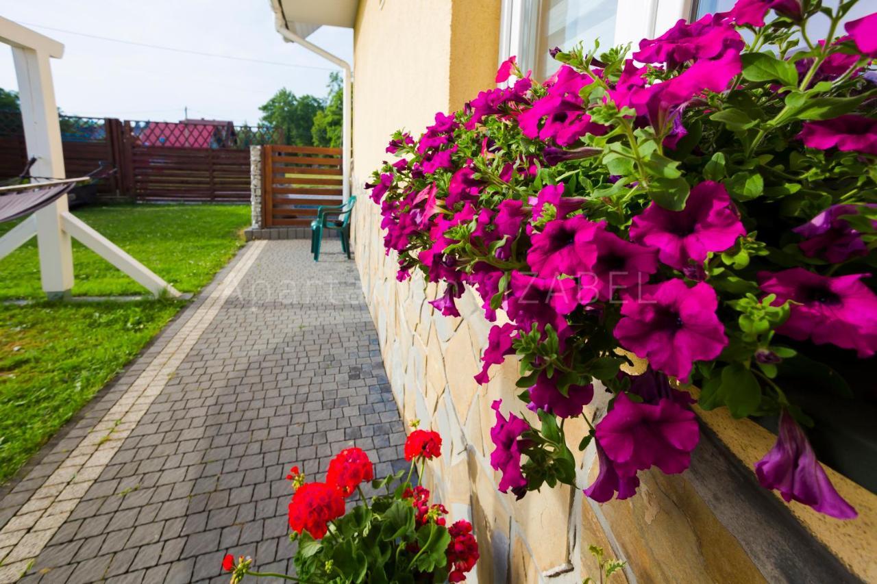 Apartament Izabel Nowy Targ Exteriér fotografie